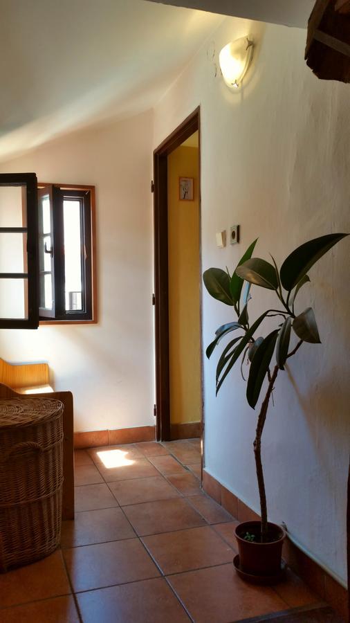 Auberge de jeunesse Merlin *